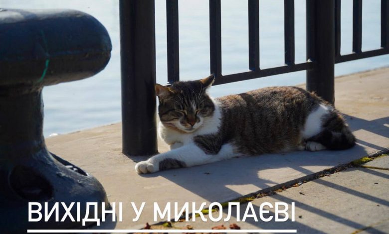 вихідні в Миколаєві