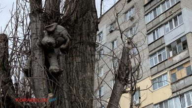 дитяча іграшка на дереві