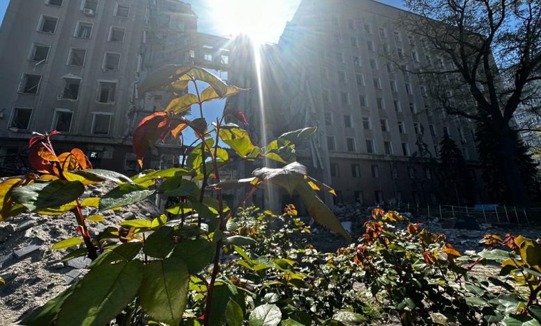 Миколаївська ОВА, ОДА