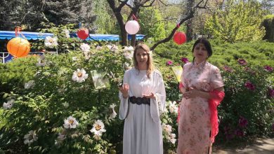квіти, зоопарк, весна