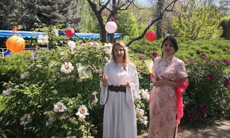 квіти, зоопарк, весна