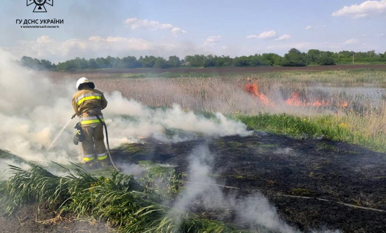 пожежа, ДСНС, пожежники