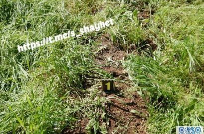 ексгумація