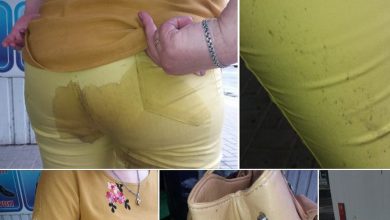 після мокрого сидіння в маршрутці