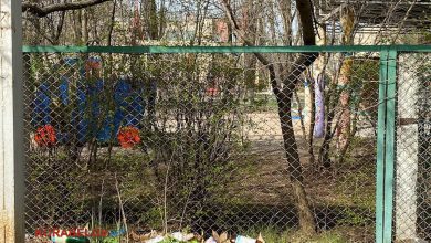 сміття під парканом дитсадка в Корабельному районі