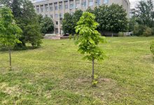 Корабельна райадміністрація