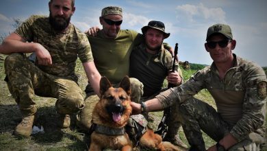 пес, ЗСУ, морпіхи