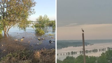 затоплення Миколаївщини, вода, Каховська ГЕС