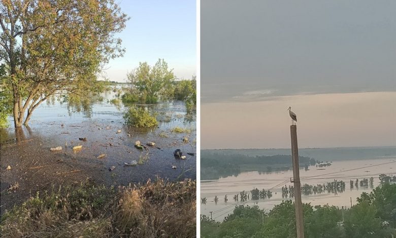 затоплення Миколаївщини, вода, Каховська ГЕС