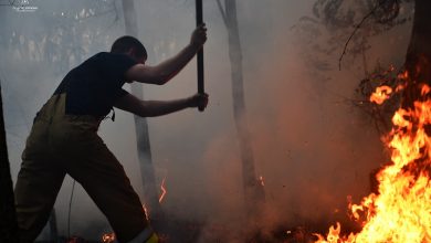 пожежа, пожежники, ДСНС