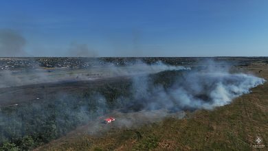 пожежа, пожежники, ДСНС