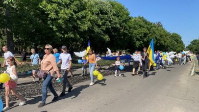 волонтери, сітка