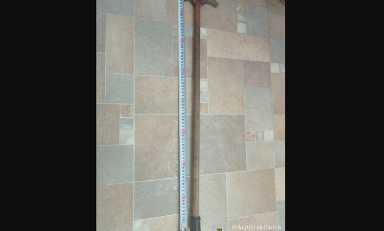 мешканець Снігурівки побив палицею матір