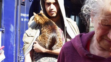 евакуйовані з Херсонщини