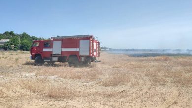 пожежа, ДСНС, обстріли, горить поле