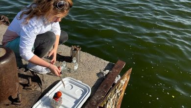 Вода, річка, інспекція води