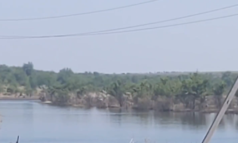 підтоплення на Миколаївщині