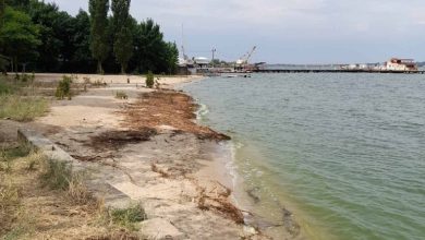 рівень води в районі пляжу "Чайка"