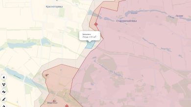 визволення території поблизу Мар'їнки