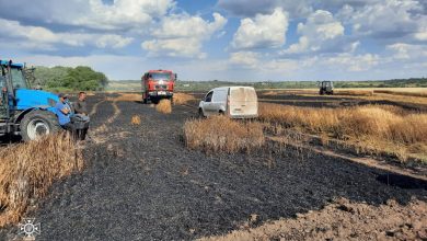 пожежа, поле, пшениця