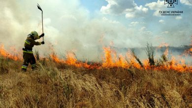 пожежа на полі