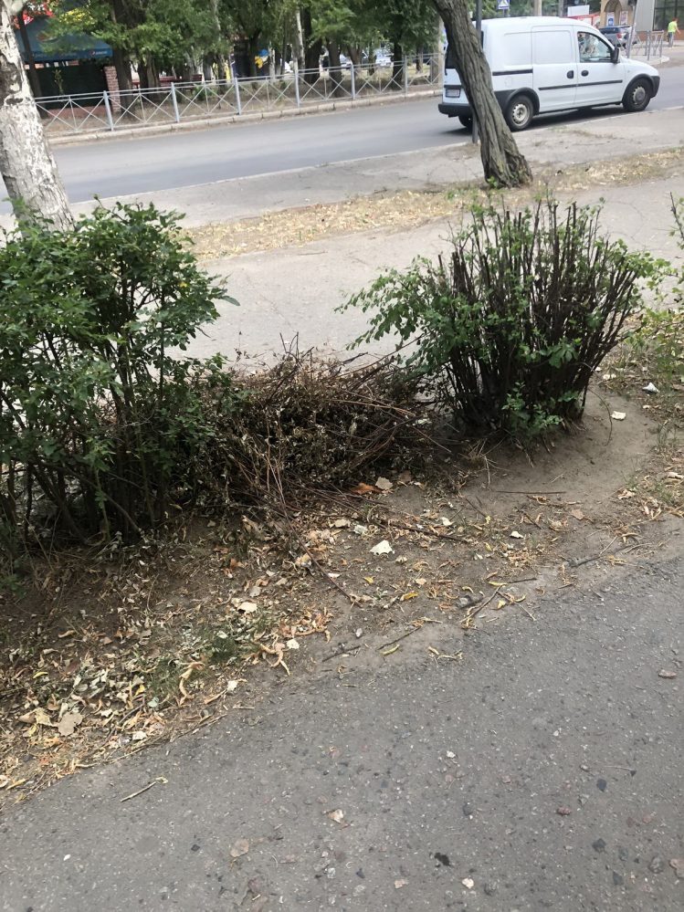 мусор в Корабельном районе