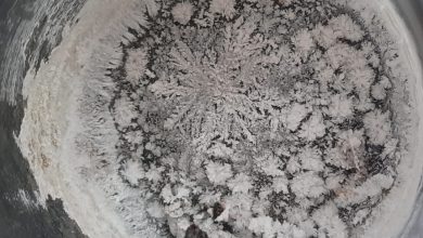 після випаровування води в Миколаєві