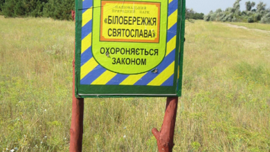 Білобережжя Святослава