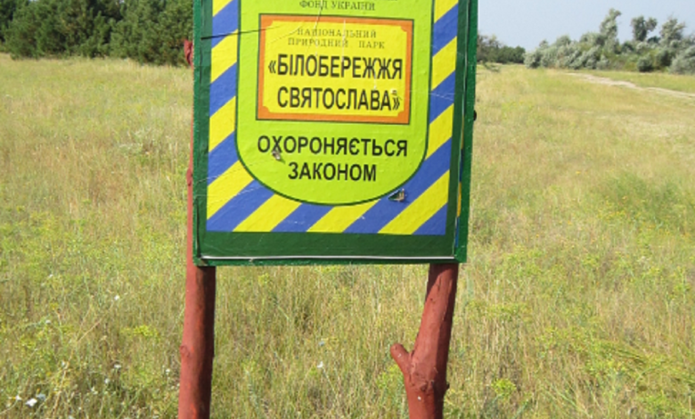 Білобережжя Святослава