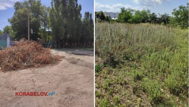 Вул. Ген. Попеля