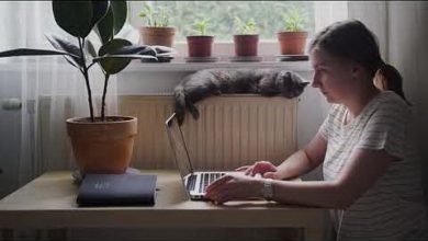 дистанційне спілкування