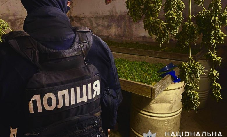 нарколабораторія