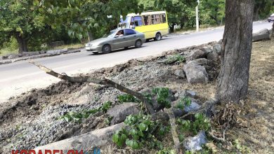 дорога, ремонт, пр. Богоявленський, зупинта Торгова