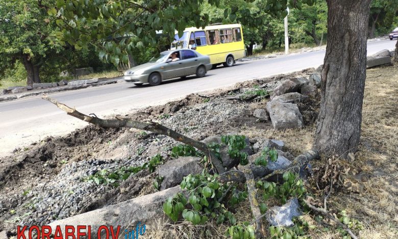 дорога, ремонт, пр. Богоявленський, зупинта Торгова