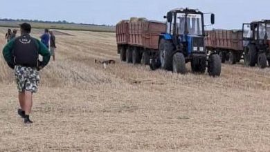 на Миколаївщині загинув тракторист