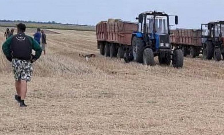 на Миколаївщині загинув тракторист