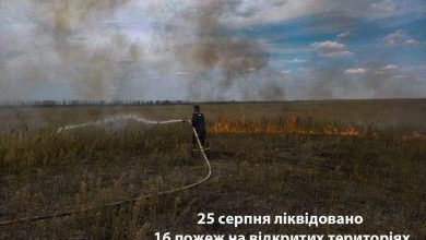 Пожежа на відкритій території