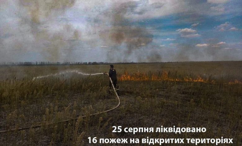 Пожежа на відкритій території