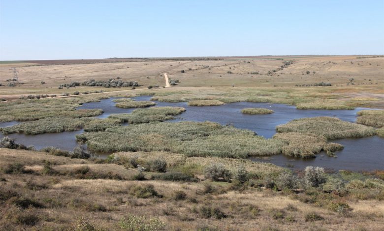 Регіональний ландшафтний парк «Тилігульський»