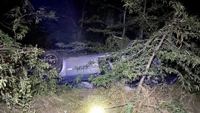 П'яне ДТП на Миколаївщині