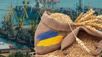 експорт українського зерна