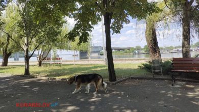 куди піти в Миколаєві