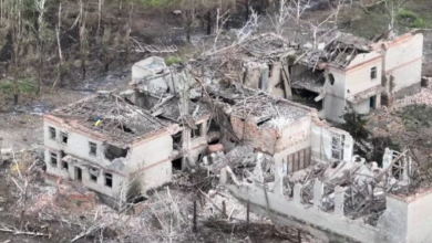 звільнене Роботине