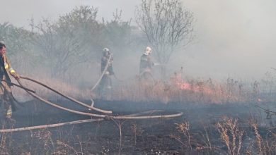 пожар на открытой территории