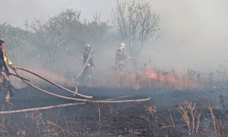пожар на открытой территории