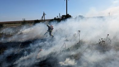 Пожежа на відкритій території