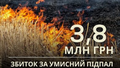 Підпал трави