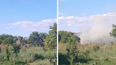 Пожежа в парку Богоявленський