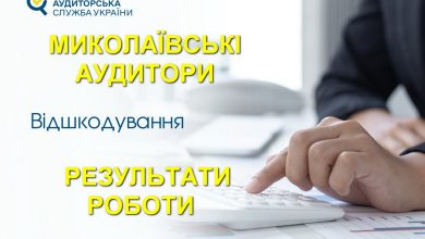 Результати роботи держаудиторів
