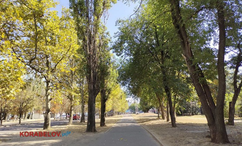 дерева в Корабельному районі